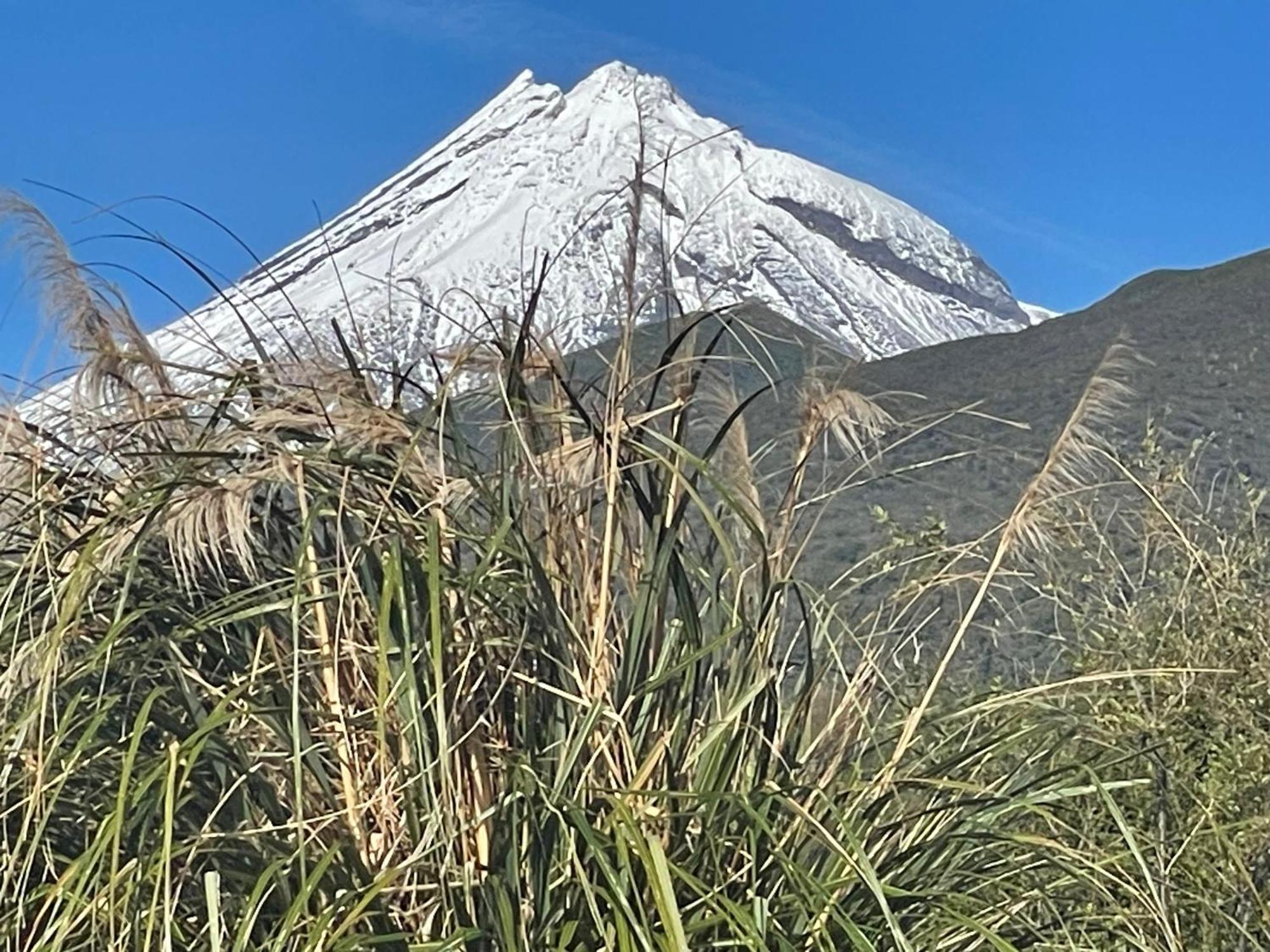 Mangorei Heights - New Plymouth Bed and Breakfast Exterior foto